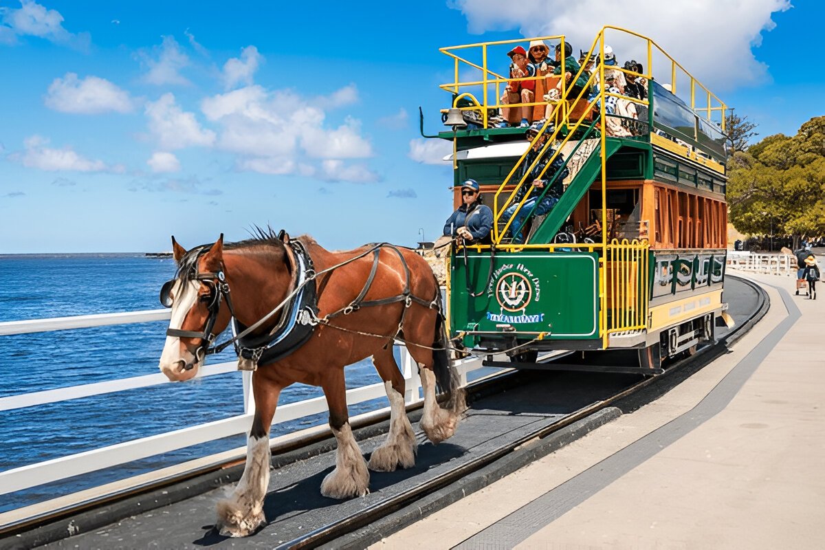 Chauffeur-Hire-for-Day-Trips-Melbourne